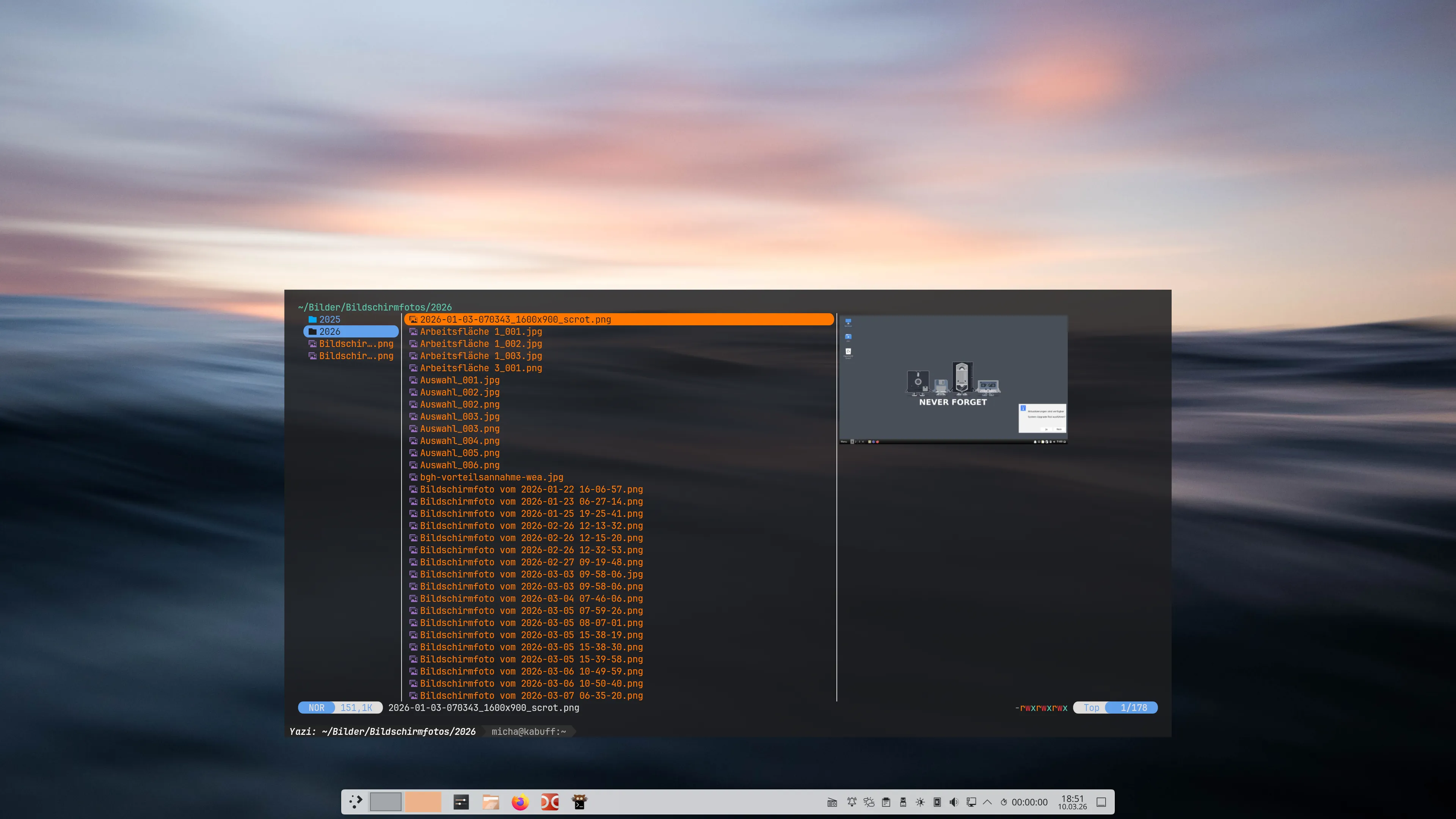 scrot_20260310_185149