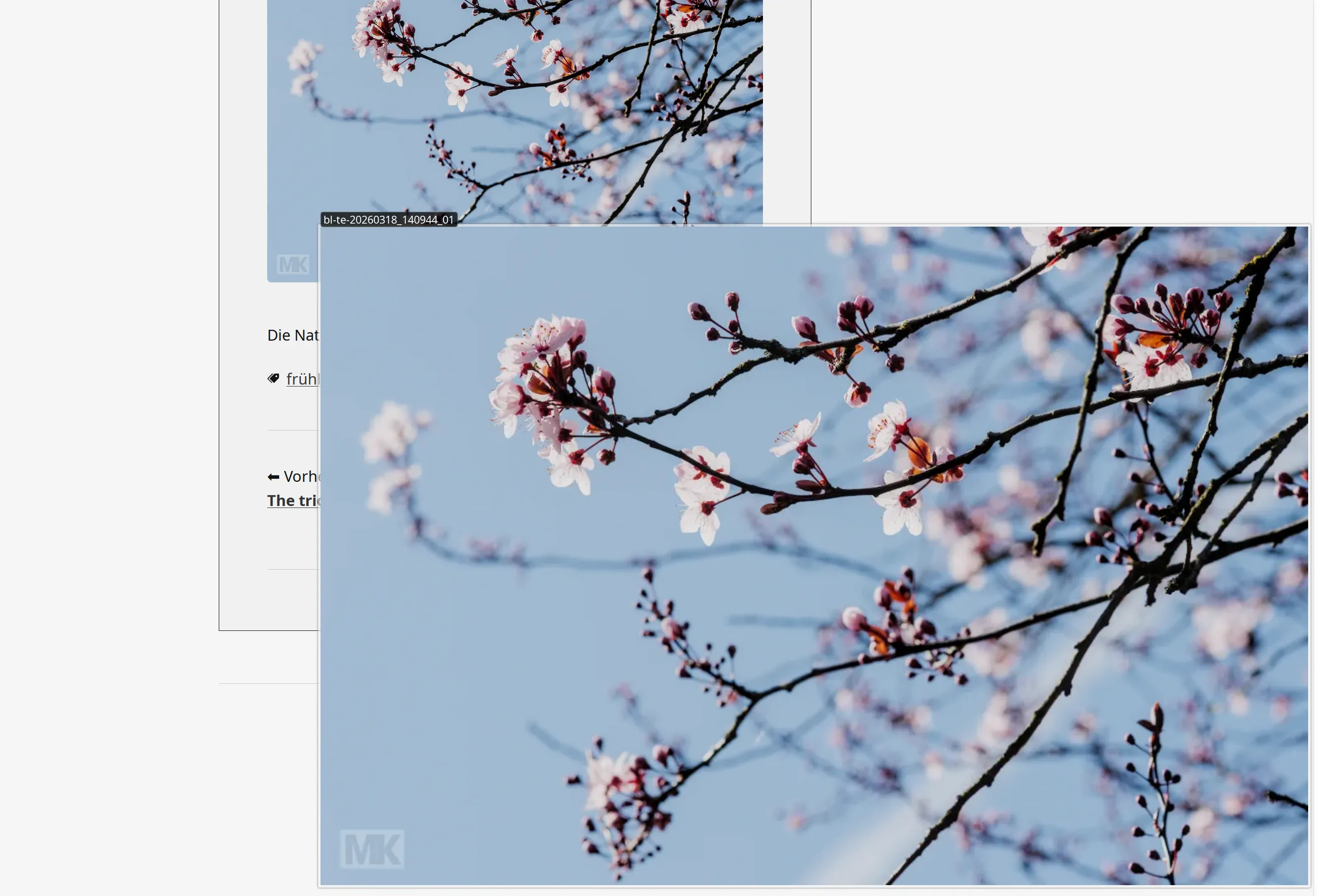 scrot 20260323 174717