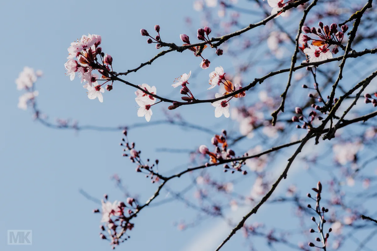 bl-te-20260318_140944_01